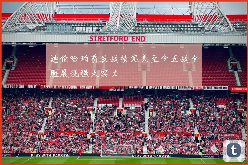 迪伦哈珀首发战绩完美至今五战全胜展现强大实力