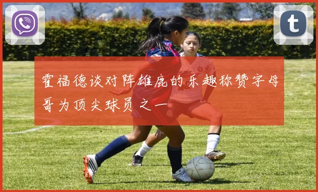 霍福德谈对阵雄鹿的乐趣称赞字母哥为顶尖球员之一